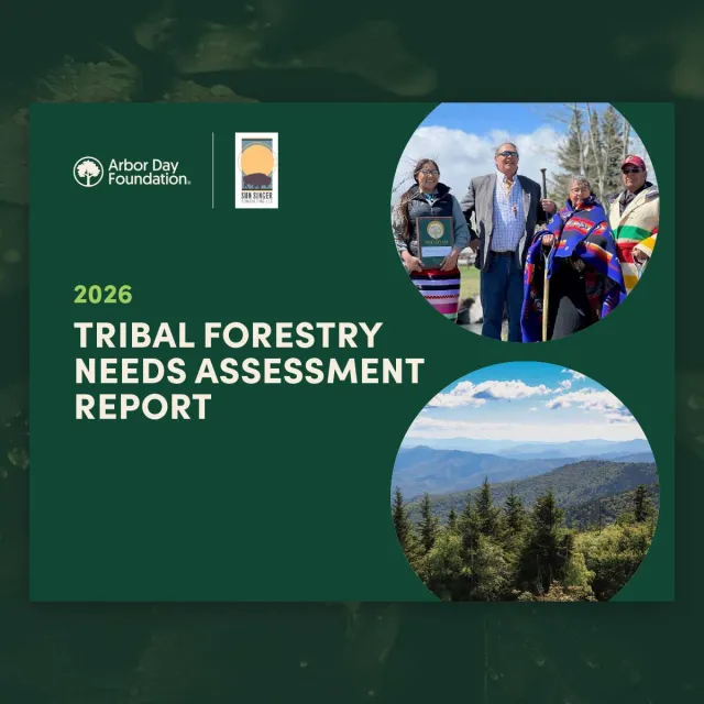Image of tribal forestry needs assessment PDF