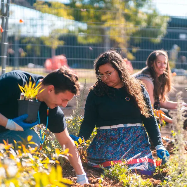 A diverse group of people collaborating in a garden, planting flowers and tending to plants under a clear blue sky.