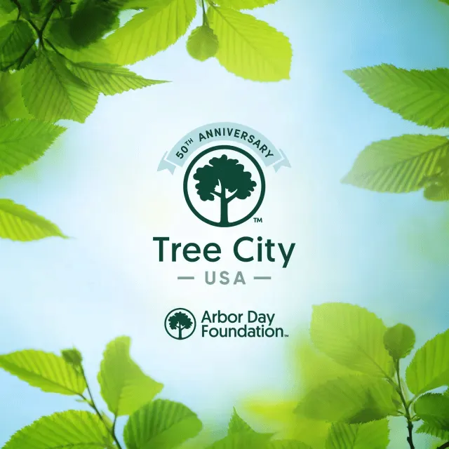 Tree City USA logo overlayed on a blue sky and branches
