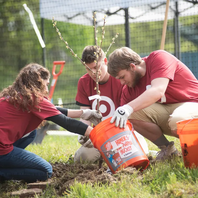 Three people in matching red shirts plant a small tree using orange buckets outdoors on a sunny day.