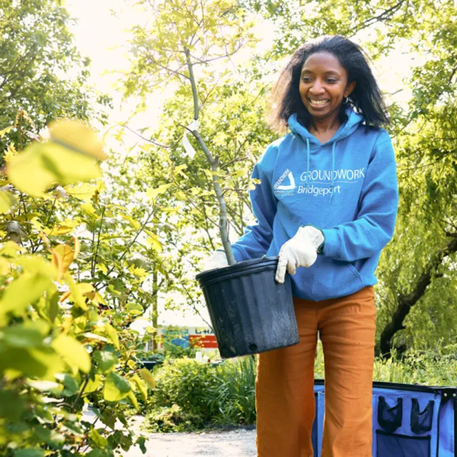 Person wearing gloves and a blue hoodie holding a potted plant outdoors in a sunny, leafy garden area.