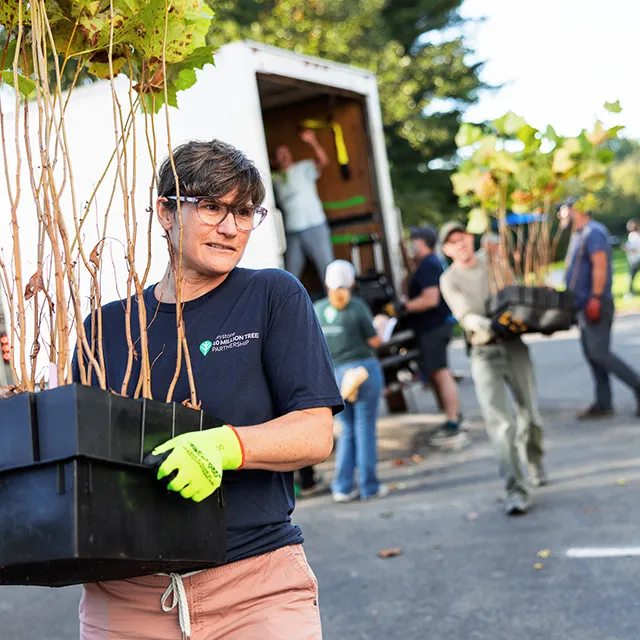 A woman with a box of plants balanced on her back, walking outdoors in a natural setting.