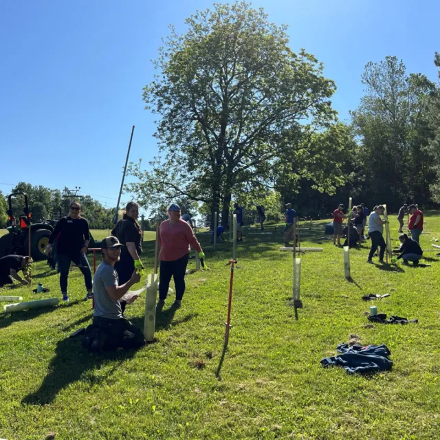 Volunteers plant young trees in a sunny park, using tools and supports beneath a large leafy tree; the community effort feels upbeat.