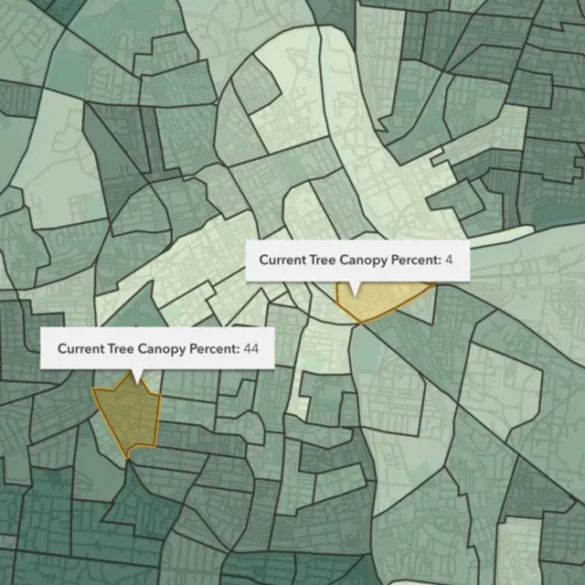 An image of a map