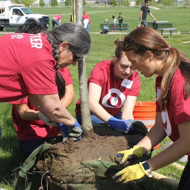 A group of people planting trees