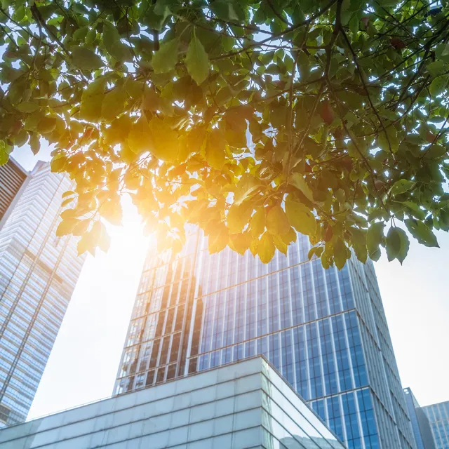 A building with the sun shining through trees