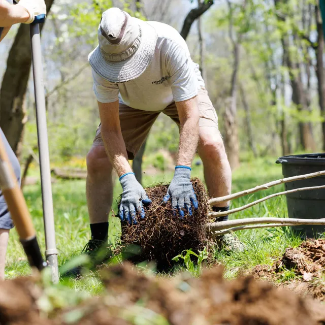 A man and woman kneel in a garden, planting seeds in the soil, surrounded by green plants and tools.