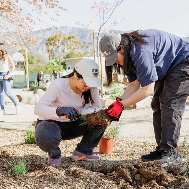 Two women kneel in a garden, planting young plants in the soil, surrounded by greenery and gardening tools.