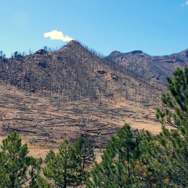 A scenic mountain landscape featuring a few trees under a clear blue sky.