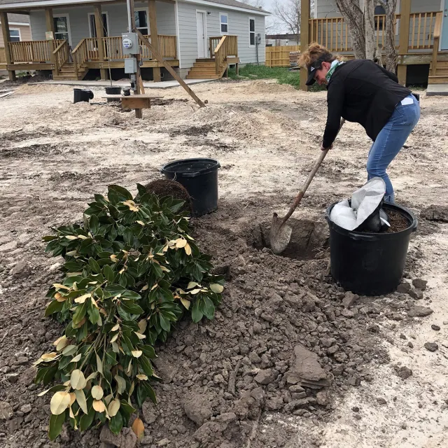 A woman using a shovel to dig dirt in a garden, focused on her task.