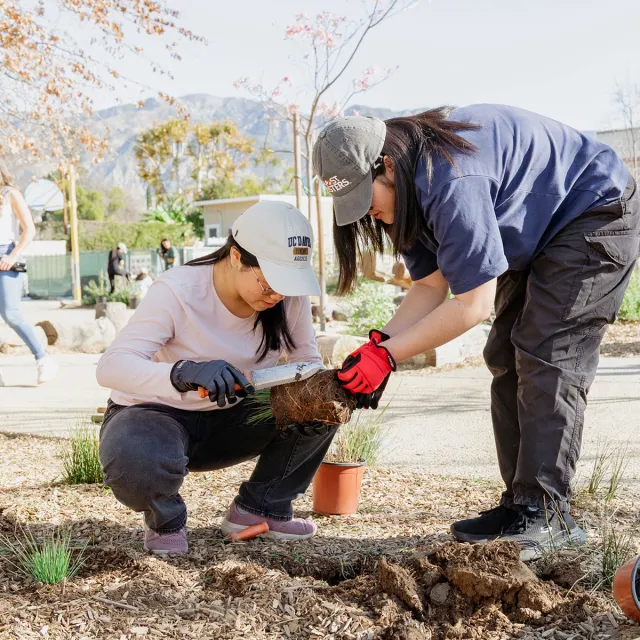 Two women in blue shirts and black gloves tending to a plant in a garden setting.