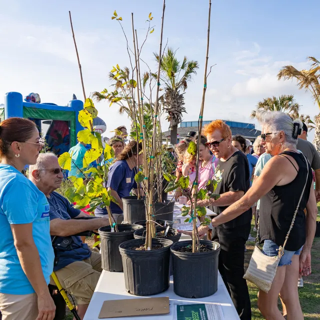 A group of five people gathered around a table, discussing various potted plants displayed on the surface.