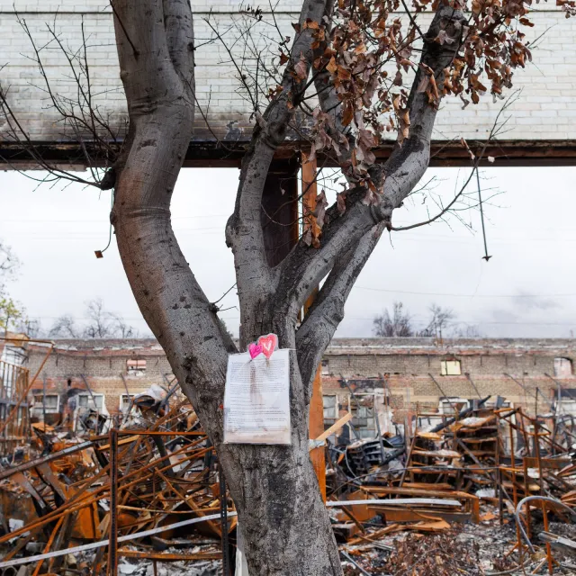 A tree still stands in front of a fire-damaged building in Altadena, with a handwritten note and paper hearts attached to its trunk.