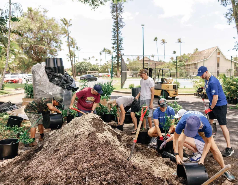 people planting trees in Hawaii