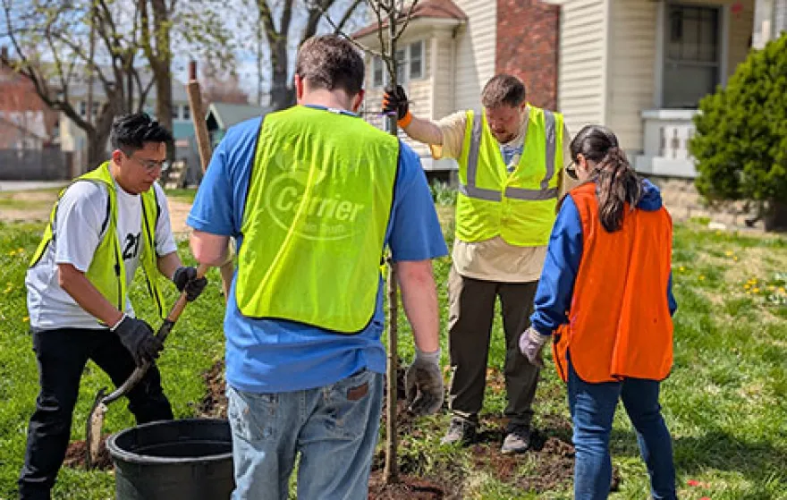 People standing outside planting a tree
