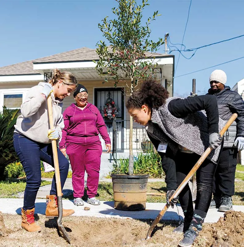 A group of people planting a tree in a residential yard, using shovels and working together under a clear blue sky.