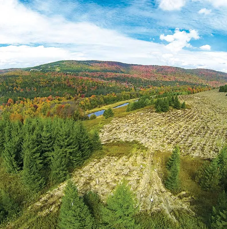Aerial view of a vibrant autumn landscape with colorful trees, a winding river, and cleared land dotted with green pine trees.