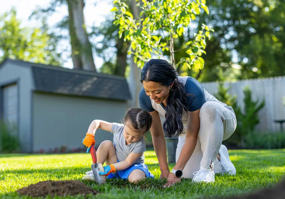 A woman and child planting a tree in a backyard.