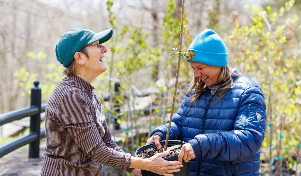 Two people carrying a tree at a tree planting event