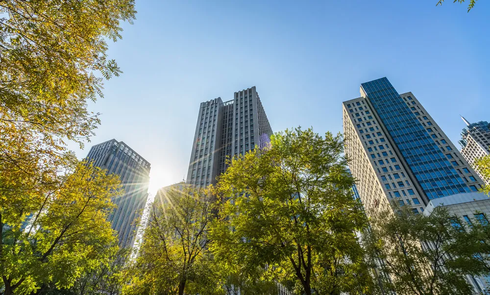 From below photo of a city with trees