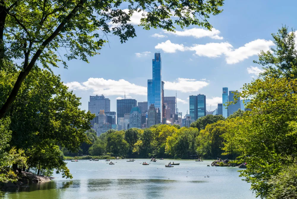 New York skyline with trees surrounding