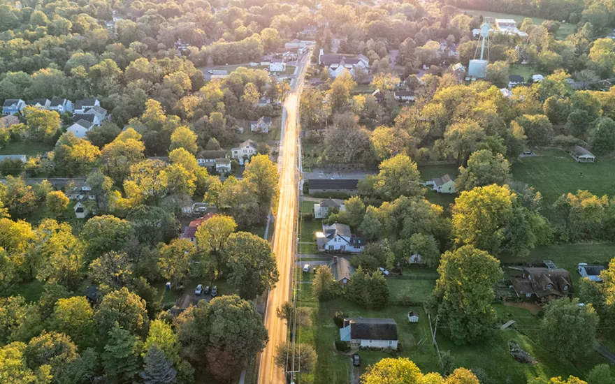 trees in a community
