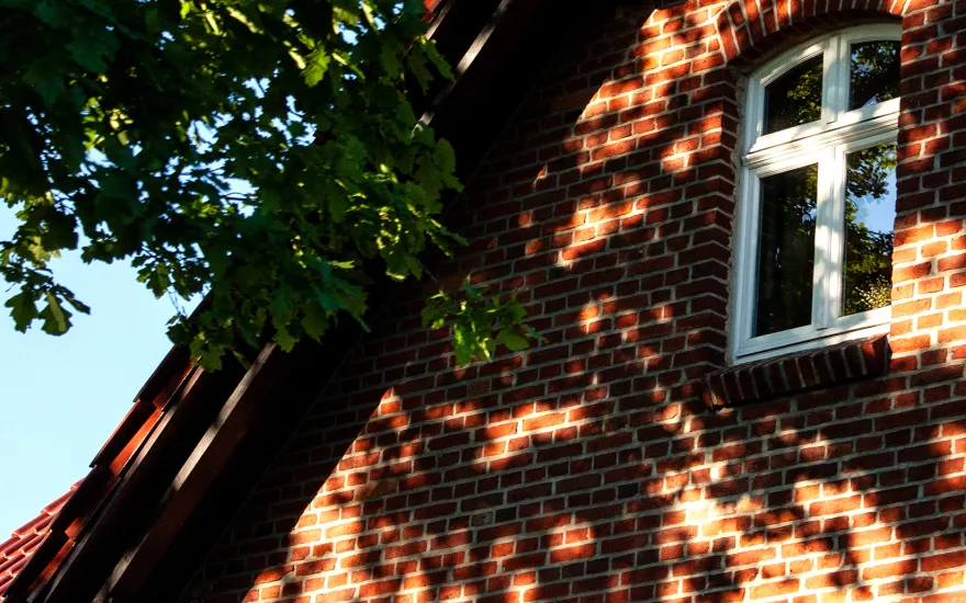 A home and window facing the sun is shaded by a tree that offers summer cooling and energy savings.