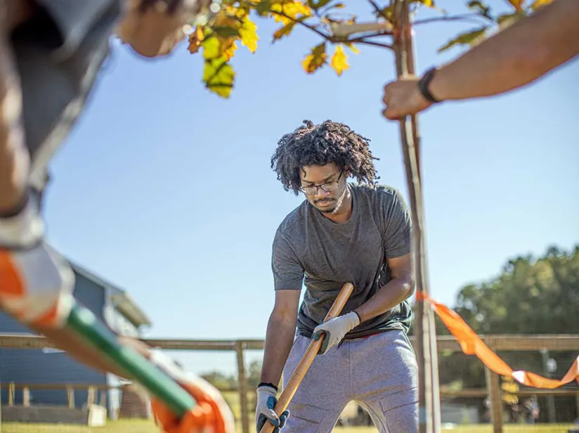 Individuals are planting a young tree on a sunny day, with tools in hand.