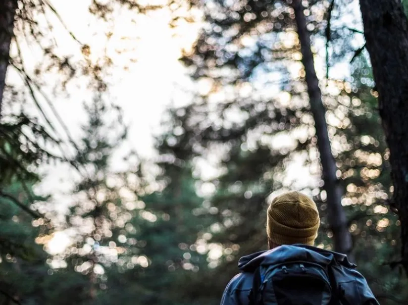 A hiker wearing a yellow beanie and backpack gazes up at towering trees in a serene forest setting, bathed in soft sunlight.