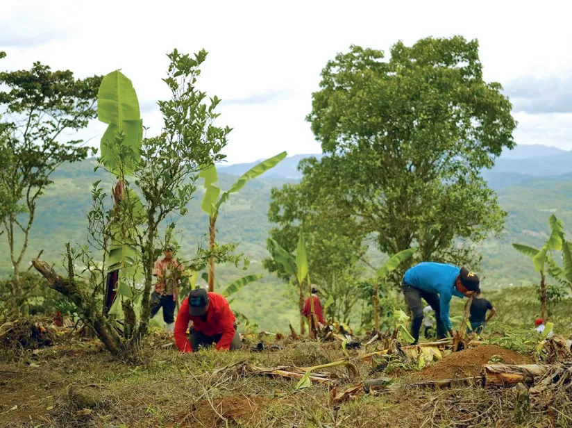 Farmers planting crops on a hillside with banana trees and lush green mountains in the background, under a cloudy sky.