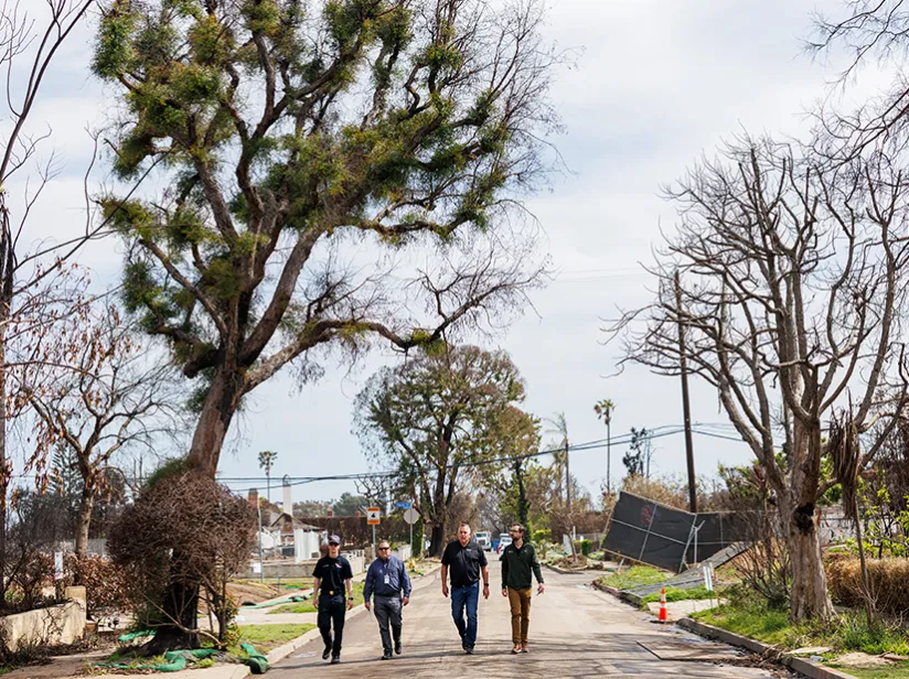 A group of four individuals walks along a deserted street lined with barren trees and remnants of vegetation, under a cloudy sky.