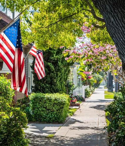 tree city usa