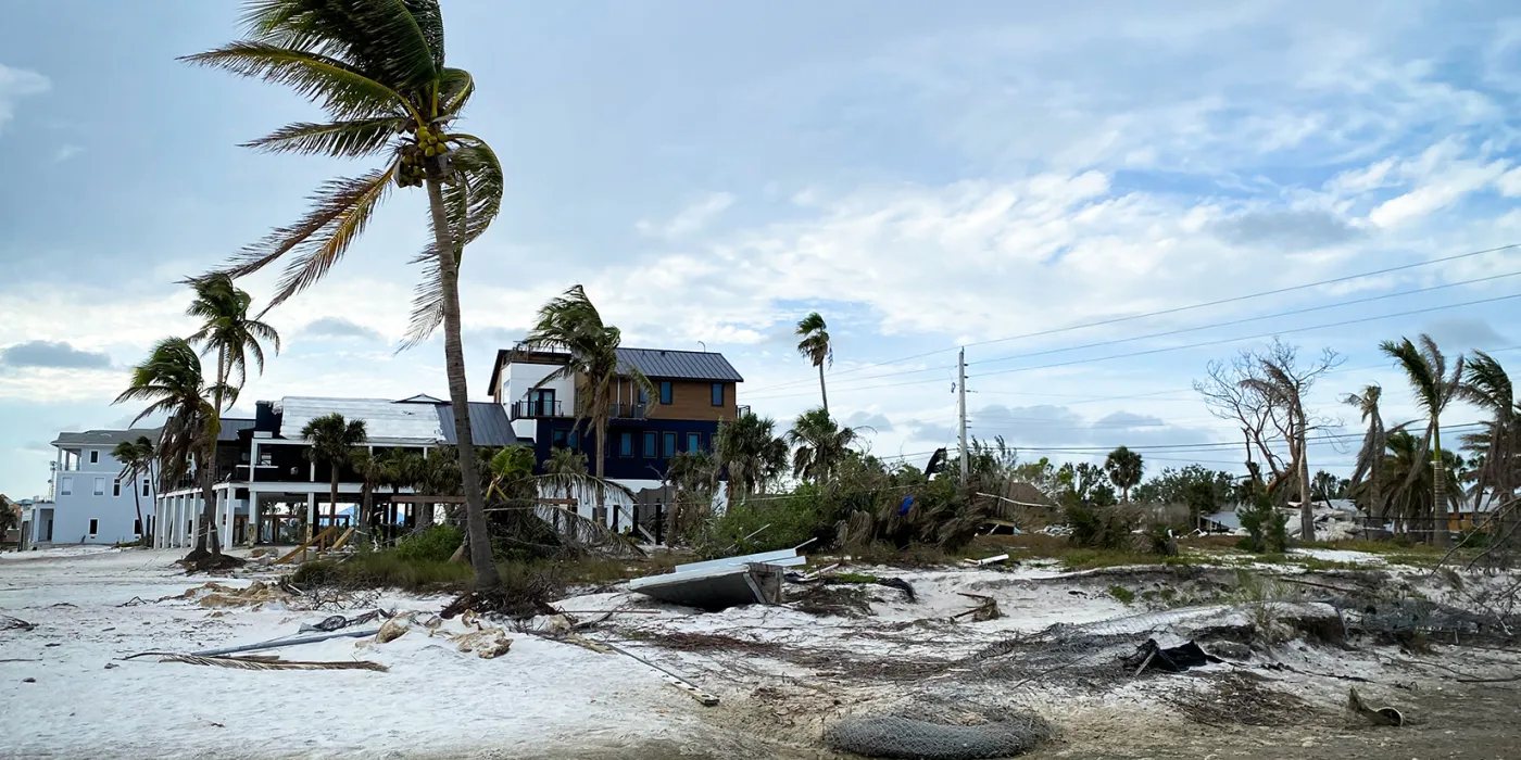 hurricane damage on trees