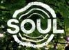 Soul Logo