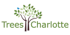 Trees Charlotte Logo