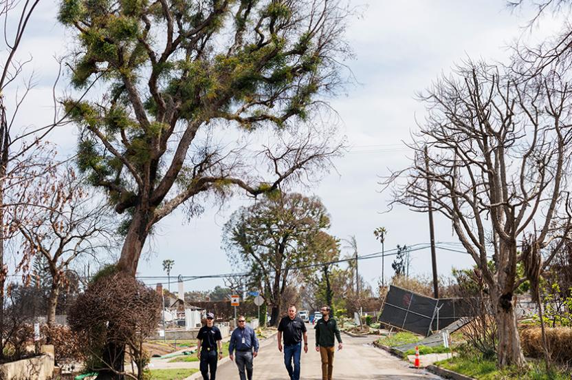 Arbor Day Foundation | Tree Planting Non-Profit