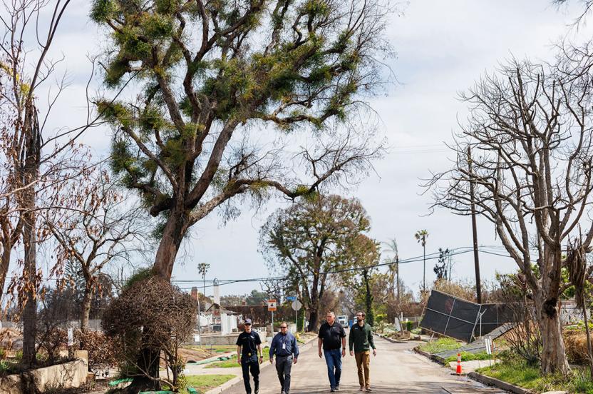 Arbor Day Foundation | Tree Planting Non-Profit