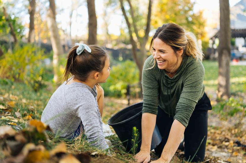 10 free trees + 2 bonus shrubs
