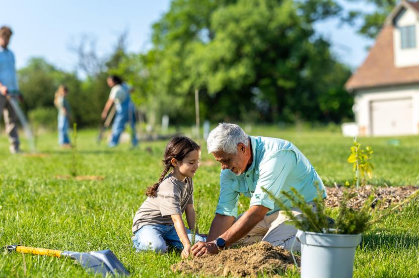 10 free trees + 2 bonus shrubs