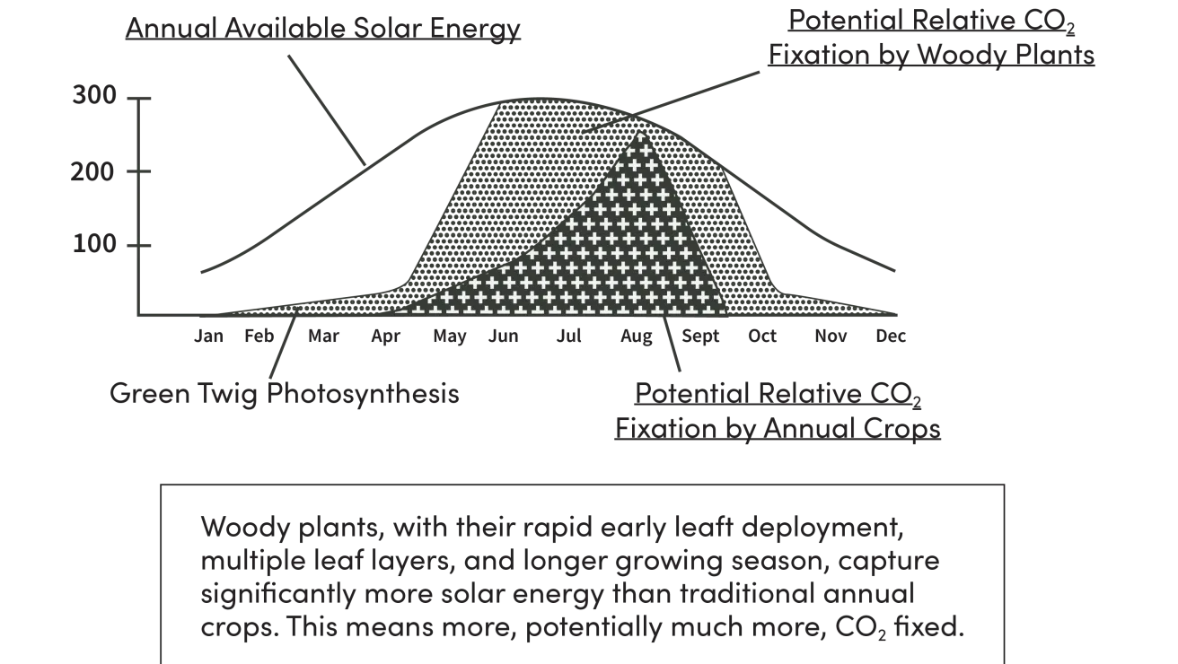 illustration showing increased C02 sequestration