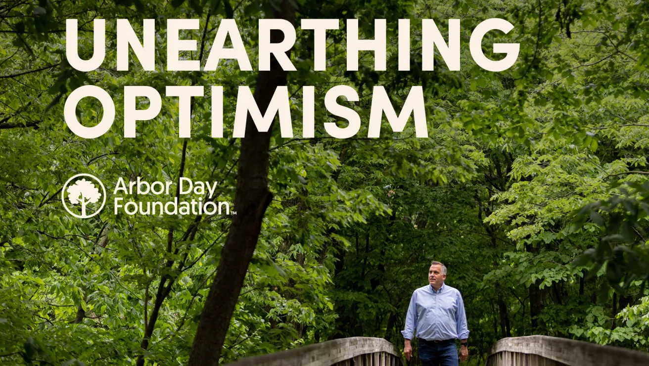 Unearthing Optimism podcast cover shows CEO Dan Lambe looking up while walking down a bridge in the middle of a forest.