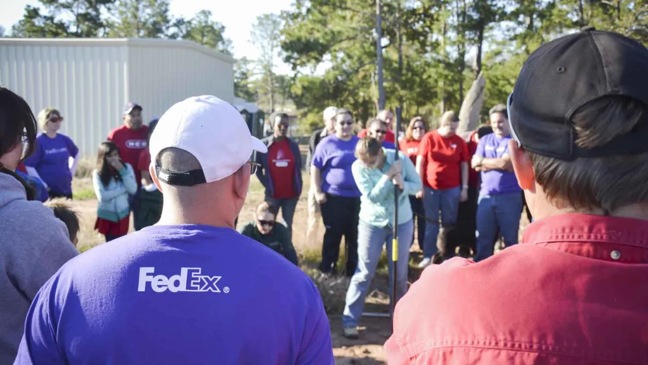 Group of volunteers watch woman demonstrate planting a tree.