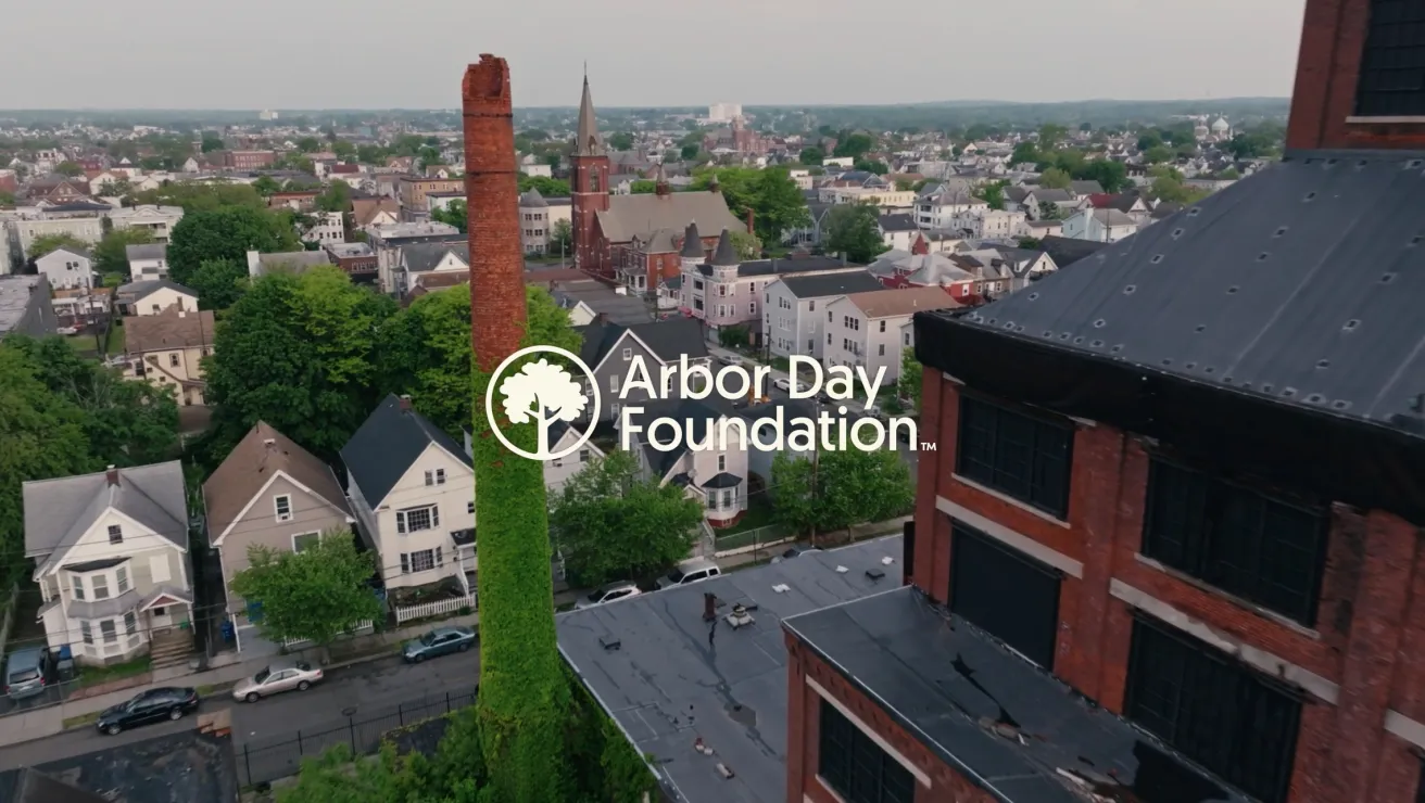 Arbor Day logo over an aerial view of Bridgeport.