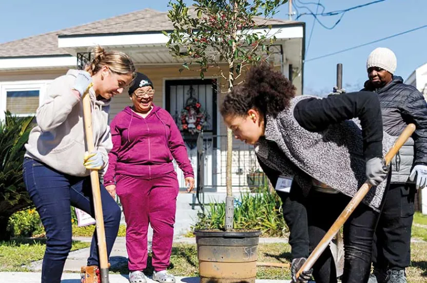 A group of people planting a tree in a residential yard, using shovels and working together under a clear blue sky.
