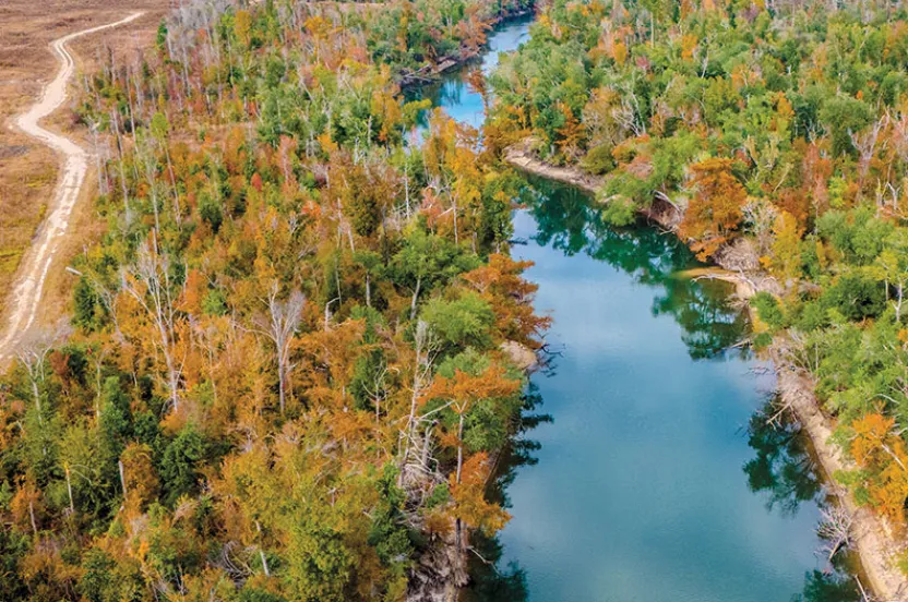 Aerial view of a winding river bordered by lush green and autumn-colored trees, with a dirt road running alongside the landscape.