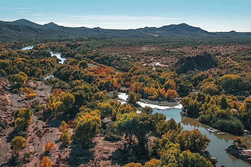 Aerial view of a winding river framed by vibrant autumn foliage and rugged mountains under a clear blue sky.