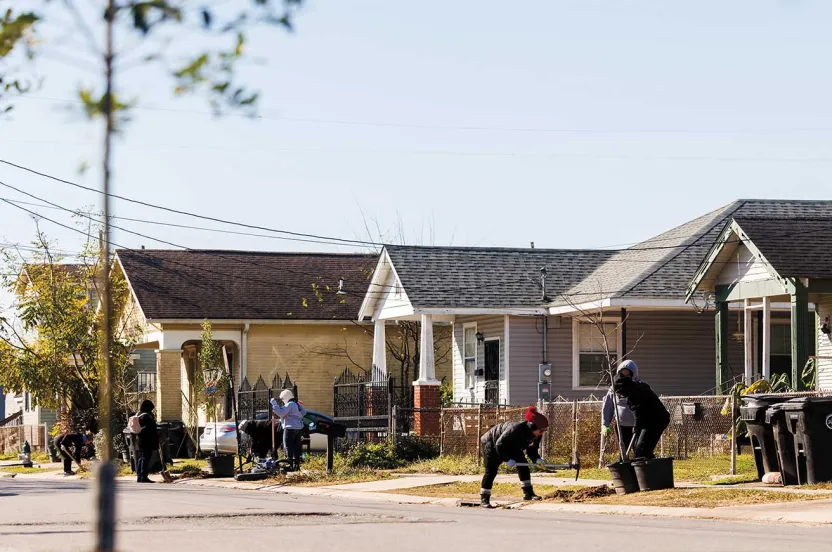Community members plant trees on a sunny street, surrounded by homes and garbage bins, promoting urban greening efforts.