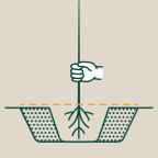 Illustration of a hand holding a plant above soil with roots visible.