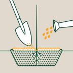 Illustration of a shovel inserting seeds into soil with visible roots, while a watering can pours water.