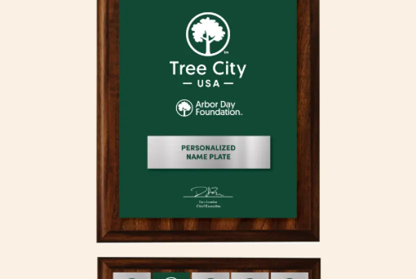 Tree City USA plaque addition.